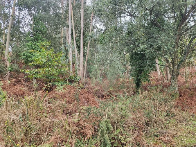 Terreno para Venda em Venda do Pinheiro e Santo Estêvão das Galés Foto 2