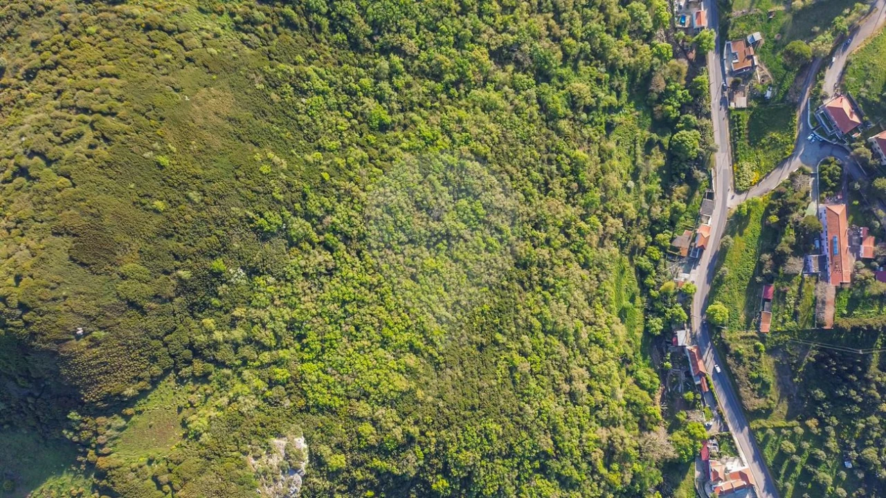 Terreno para Venda em Lousa Foto 4