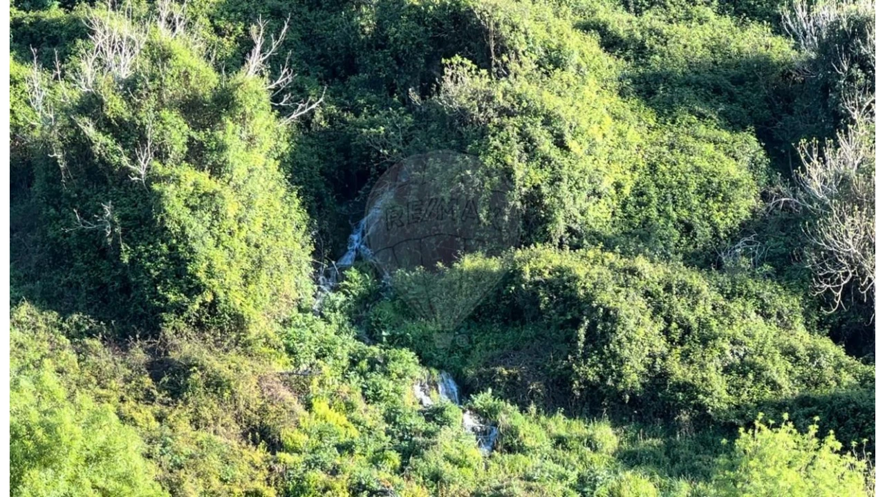 Terreno para Venda em Lousa Foto 5