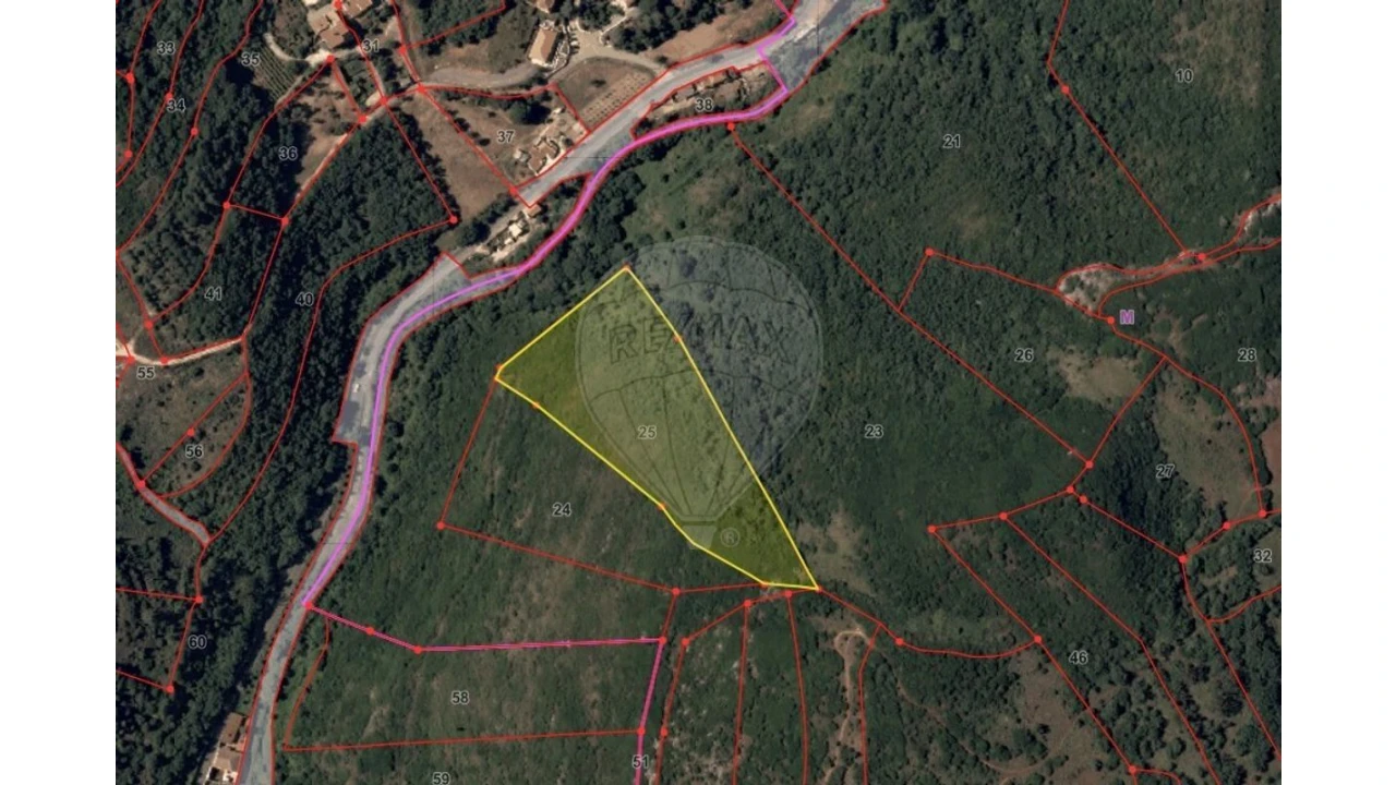 Terreno para Venda em Lousa Foto 11