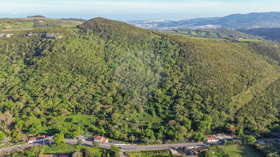 Terreno para Venda em Lousa Foto 10