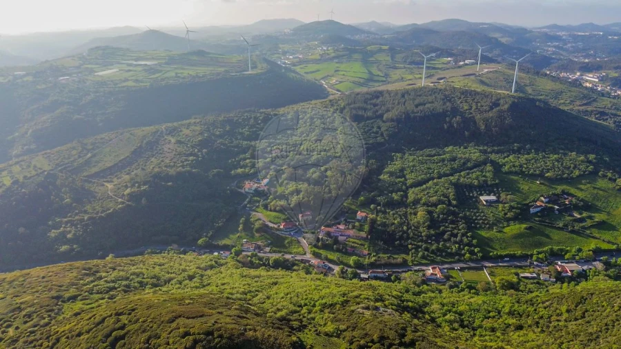 Terreno para Venda em Lousa Foto 6