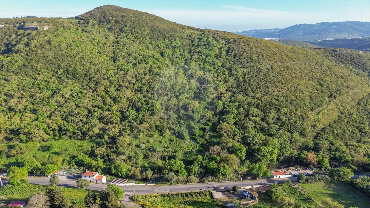 Terreno para Venda em Lousa Foto 18