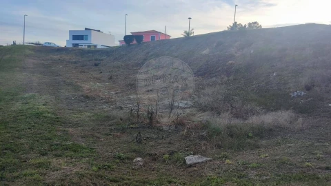 Terreno para Venda em Cartaxo e Vale da Pinta