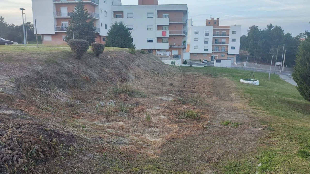 Terreno para Venda em Cartaxo e Vale da Pinta Foto 3