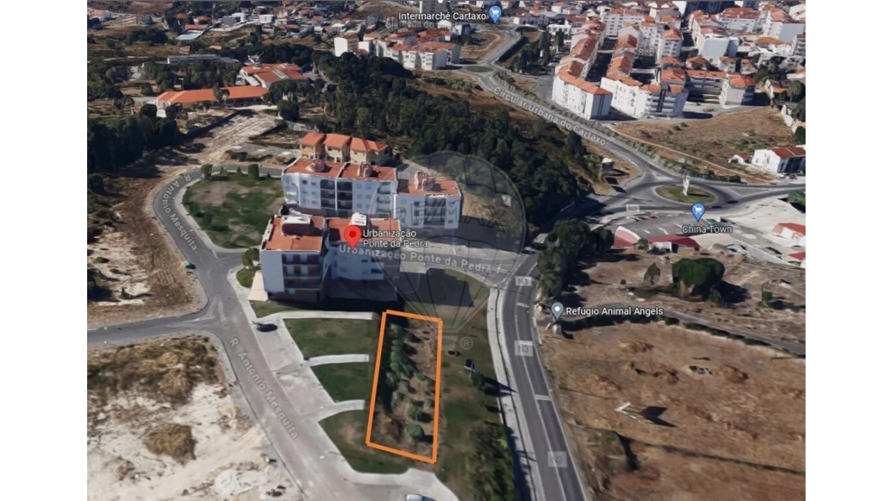 Terreno para Venda em Cartaxo e Vale da Pinta Foto 4