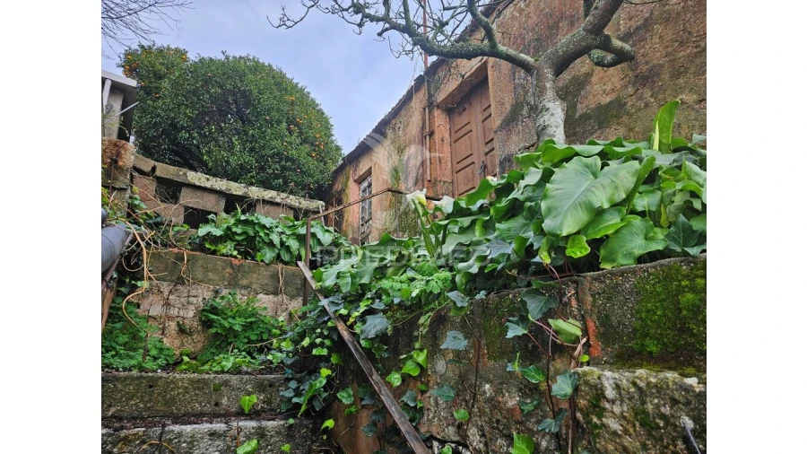 Moradia para Venda em Água Longa Foto 2