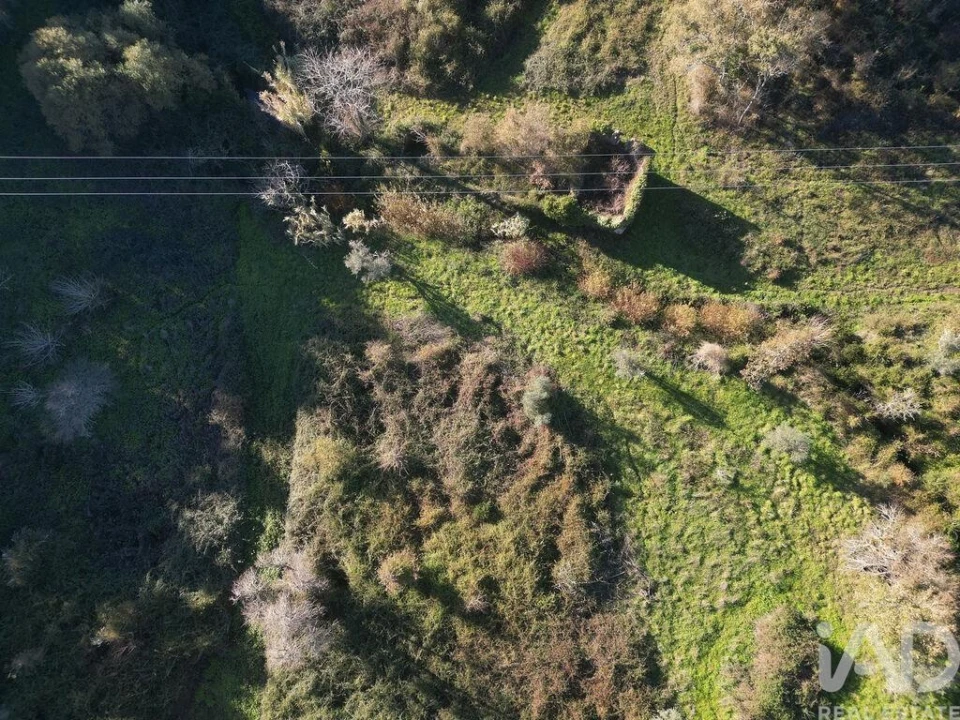Terreno para Venda em São Miguel, Santa Eufémia e Rabaçal Foto 15