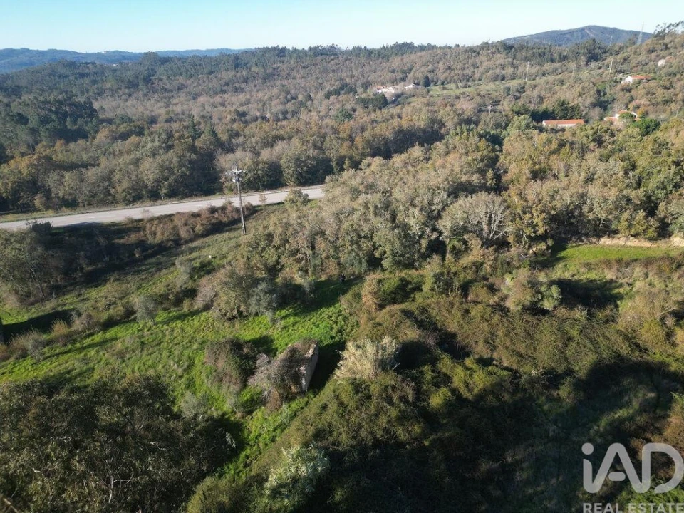 Terreno para Venda em São Miguel, Santa Eufémia e Rabaçal Foto 2