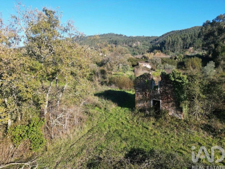 Terreno para Venda em São Miguel, Santa Eufémia e Rabaçal Foto 4