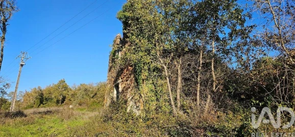 Terreno para Venda em São Miguel, Santa Eufémia e Rabaçal