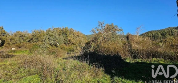 Terreno para Venda em São Miguel, Santa Eufémia e Rabaçal
