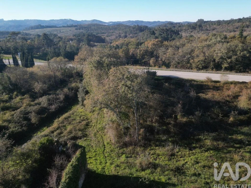 Terreno para Venda em São Miguel, Santa Eufémia e Rabaçal Foto 10