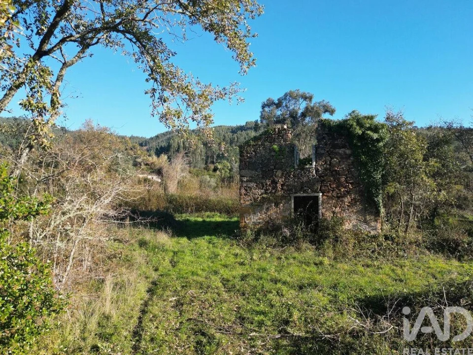 Terreno para Venda em São Miguel, Santa Eufémia e Rabaçal Foto 3