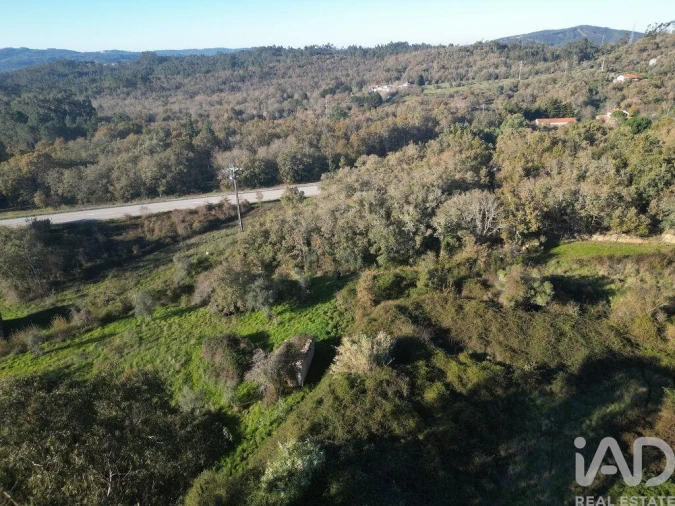 Terreno para Venda em São Miguel, Santa Eufémia e Rabaçal Foto 2