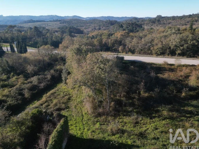 Terreno para Venda em São Miguel, Santa Eufémia e Rabaçal Foto 10