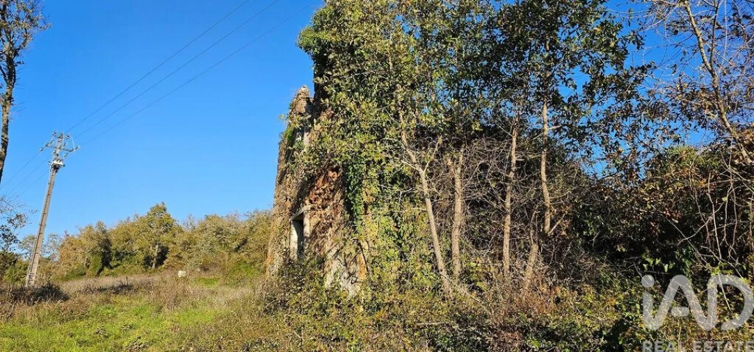 Terreno para Venda em São Miguel, Santa Eufémia e Rabaçal Foto 5