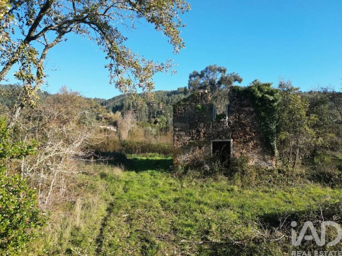 Terreno para Venda em São Miguel, Santa Eufémia e Rabaçal Foto 3
