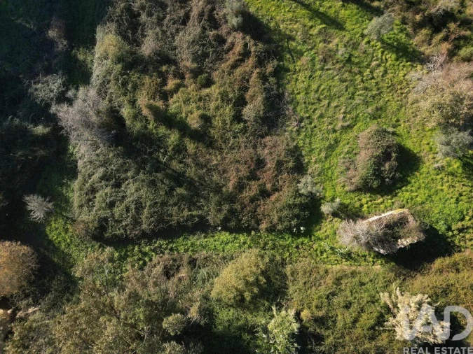 Terreno para Venda em São Miguel, Santa Eufémia e Rabaçal Foto 14