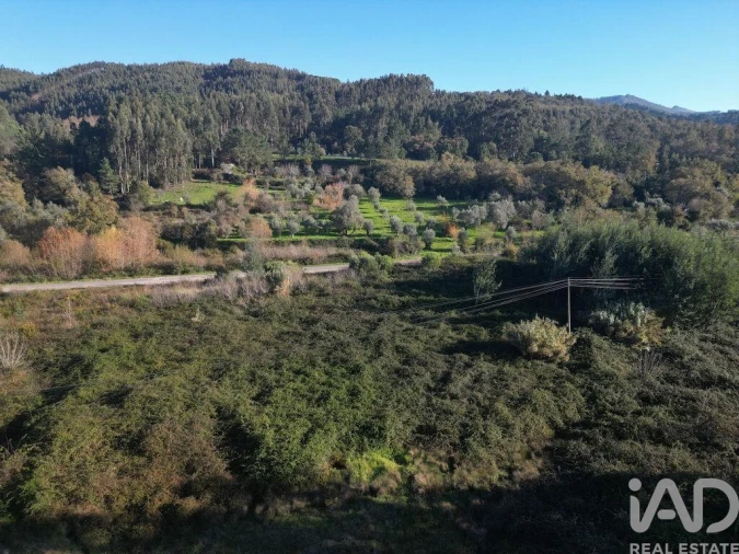 Terreno para Venda em São Miguel, Santa Eufémia e Rabaçal Foto 12