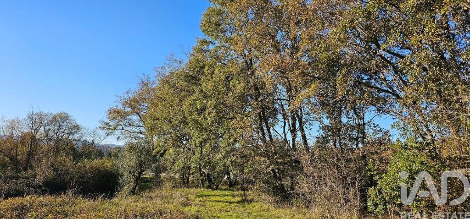 Terreno para Venda em São Miguel, Santa Eufémia e Rabaçal Foto 6