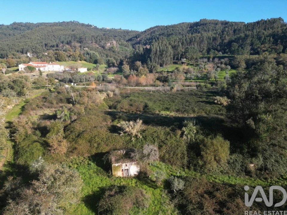Terreno para Venda em São Miguel, Santa Eufémia e Rabaçal Foto 8