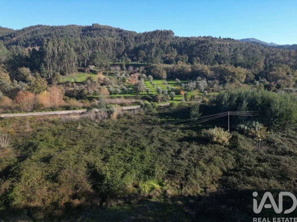 Terreno para Venda em São Miguel, Santa Eufémia e Rabaçal Foto 12