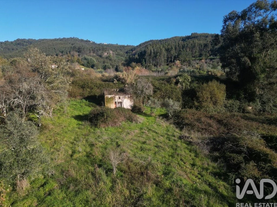 Terreno para Venda em São Miguel, Santa Eufémia e Rabaçal Foto 9