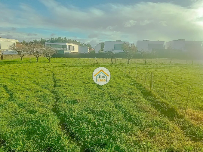Terreno para Venda em Albergaria-A-Velha e Valmaior Foto 15