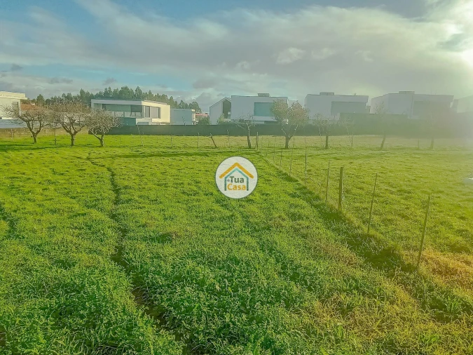 Terreno para Venda em Albergaria-A-Velha e Valmaior Foto 14