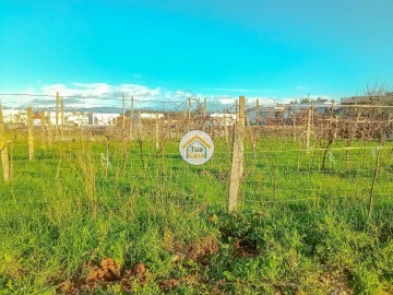 Terreno para Venda em Albergaria-A-Velha e Valmaior