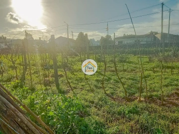 Terreno para Venda em Albergaria-A-Velha e Valmaior