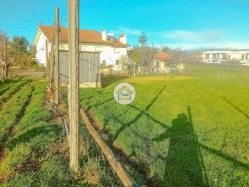 Terreno para Venda em Albergaria-A-Velha e Valmaior