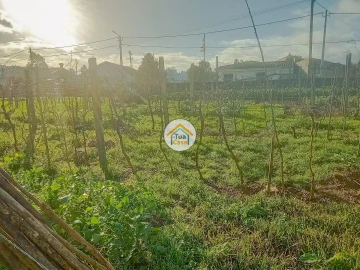 Terreno para Venda em Albergaria-A-Velha e Valmaior