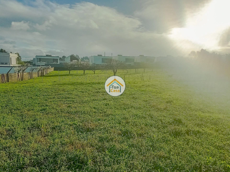 Terreno para Venda em Albergaria-A-Velha e Valmaior Foto 14