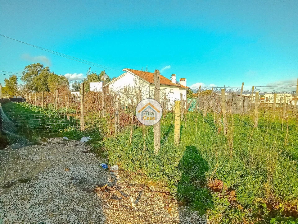 Terreno para Venda em Albergaria-A-Velha e Valmaior Foto 10