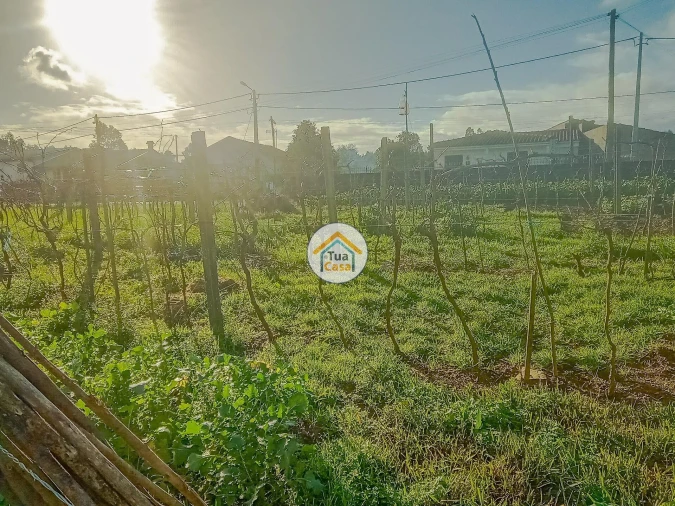 Terreno para Venda em Albergaria-A-Velha e Valmaior Foto 2