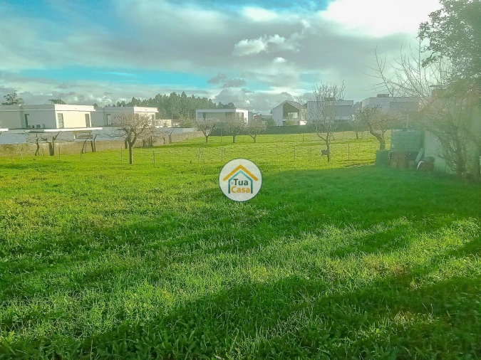 Terreno para Venda em Albergaria-A-Velha e Valmaior Foto 15