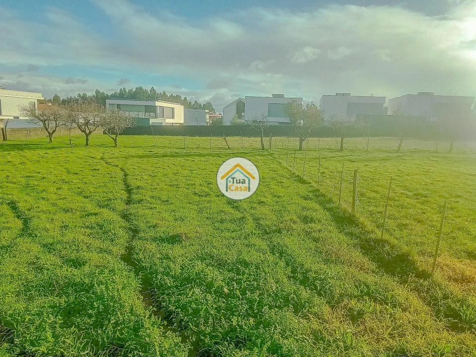 Terreno para Venda em Albergaria-A-Velha e Valmaior Foto 13