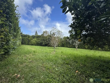 Moradia T3 para Venda em Pedro Miguel