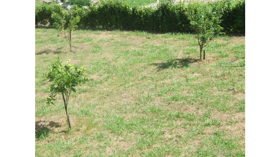 Moradia T3 para Venda em Pedro Miguel Foto 23