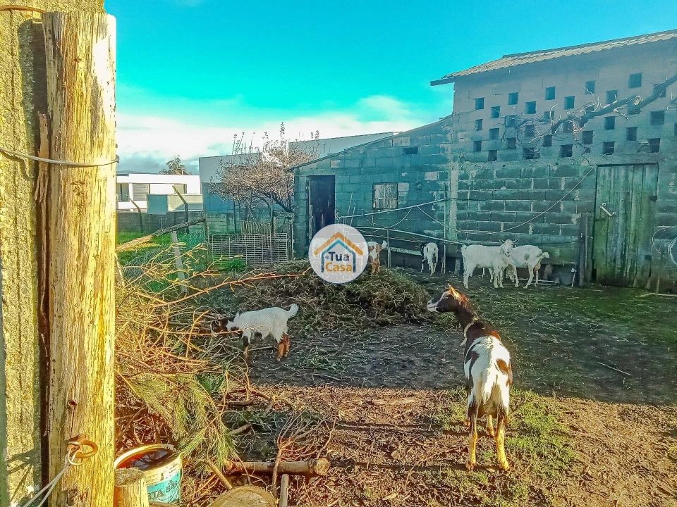 Terreno para Venda em Albergaria-A-Velha e Valmaior Foto 10
