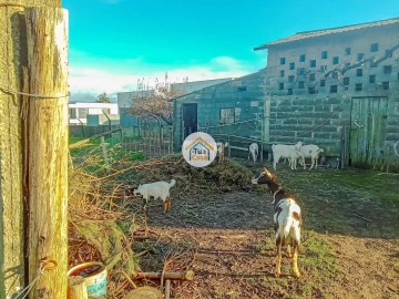 Terreno para Venda em Albergaria-A-Velha e Valmaior