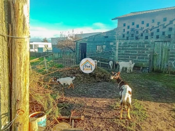 Terreno para Venda em Albergaria-A-Velha e Valmaior