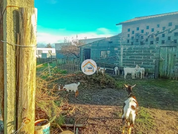 Terreno para Venda em Albergaria-A-Velha e Valmaior