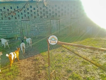 Terreno para Venda em Albergaria-A-Velha e Valmaior