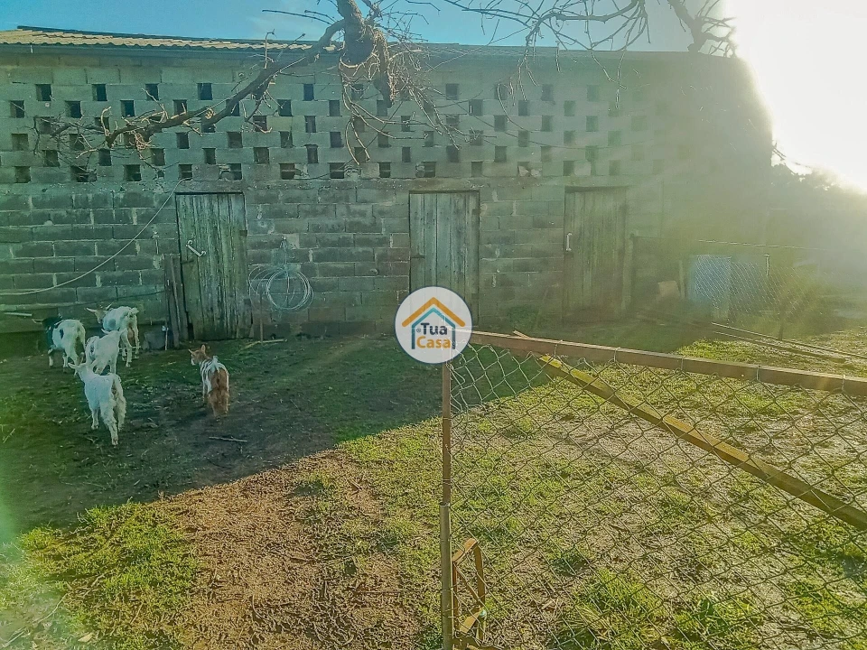 Terreno para Venda em Albergaria-A-Velha e Valmaior Foto 15