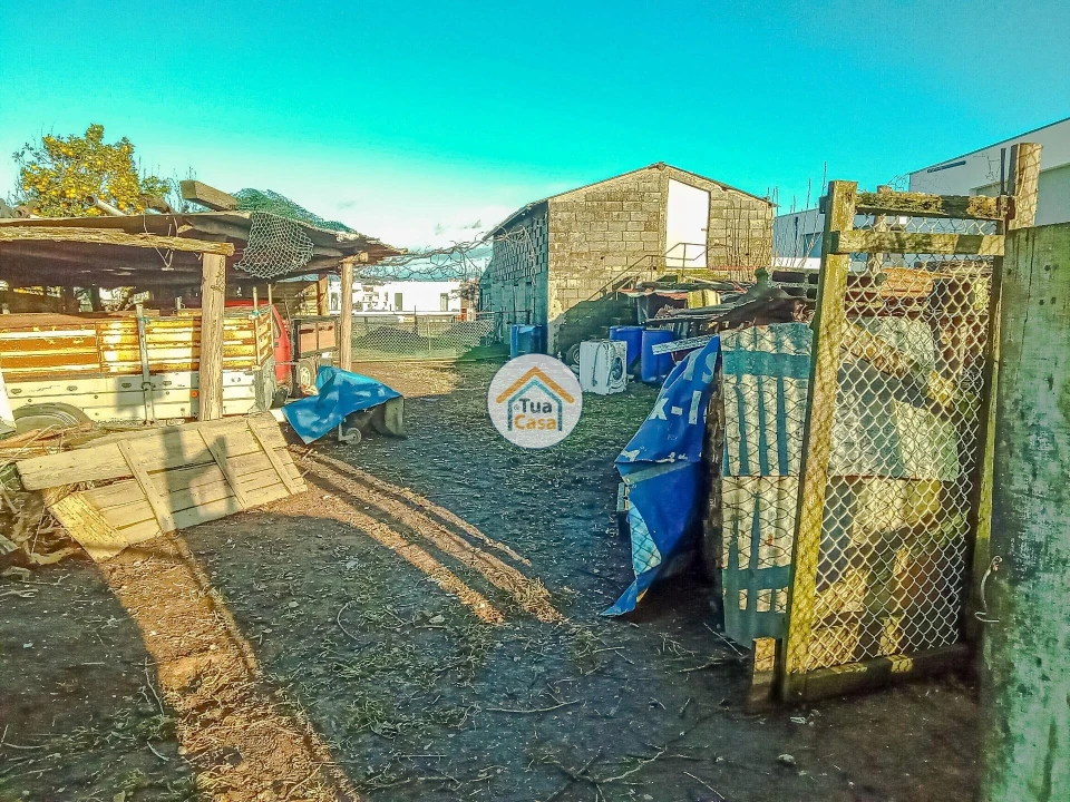 Terreno para Venda em Albergaria-A-Velha e Valmaior Foto 11