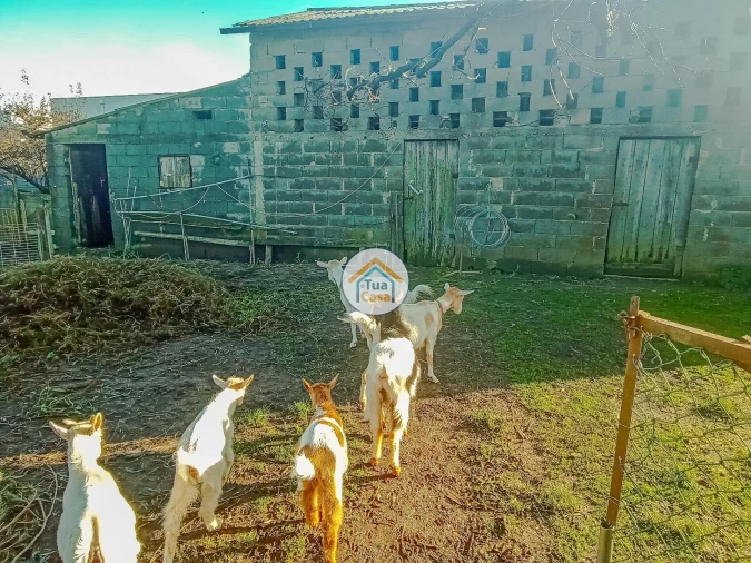 Terreno para Venda em Albergaria-A-Velha e Valmaior Foto 4