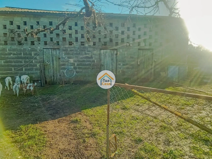 Terreno para Venda em Albergaria-A-Velha e Valmaior Foto 12